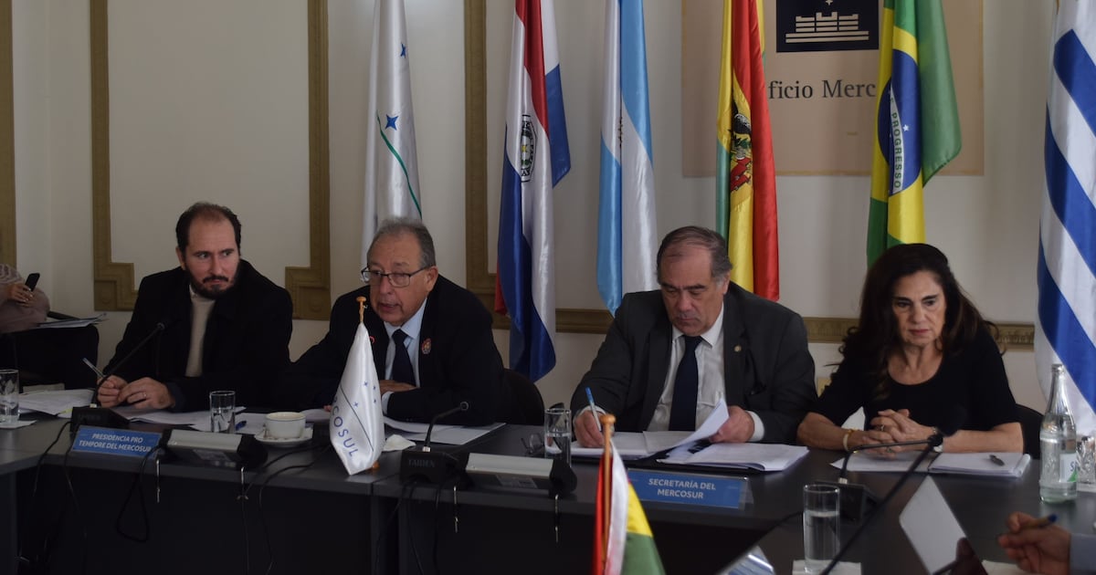 Comisión de Representantes del Mercosur celebra su reunión número 300 con anuncio de nuevas obras