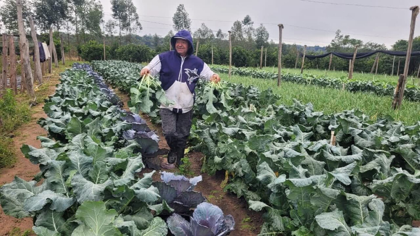 Presentan proyecto de ley para financiar inversiones en agricultura familiar campesina