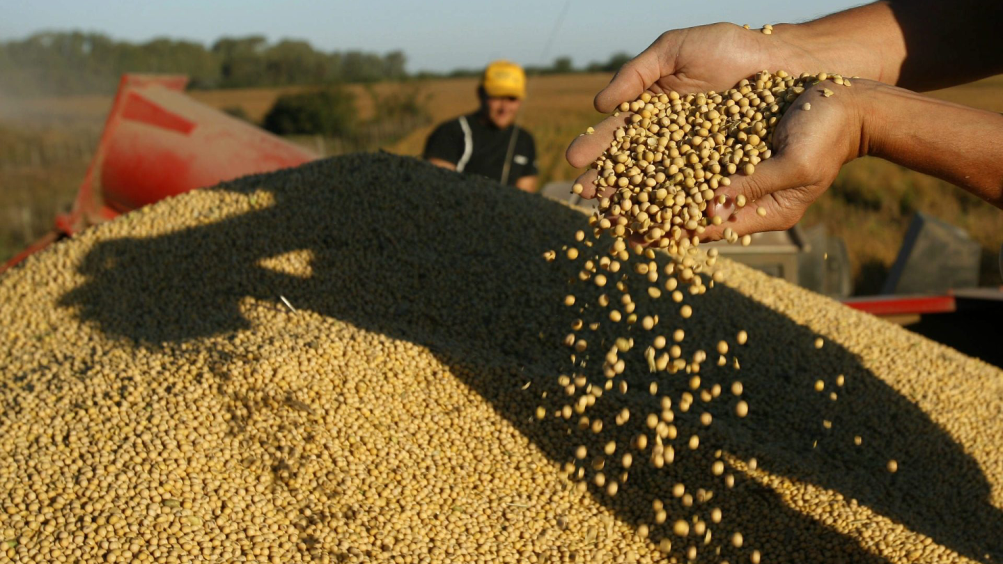 Exportaciones de soja generan USD 2.978 millones en el primer semestre de 2026