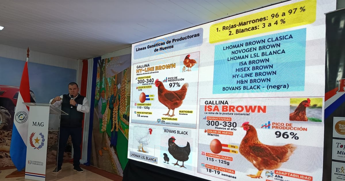 MAG presenta la avicultura como alternativa de ingresos para familias rurales