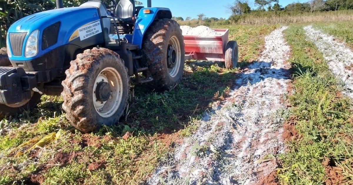 Senave adopta norma paraguaya para regular la calidad de la cal agrícola