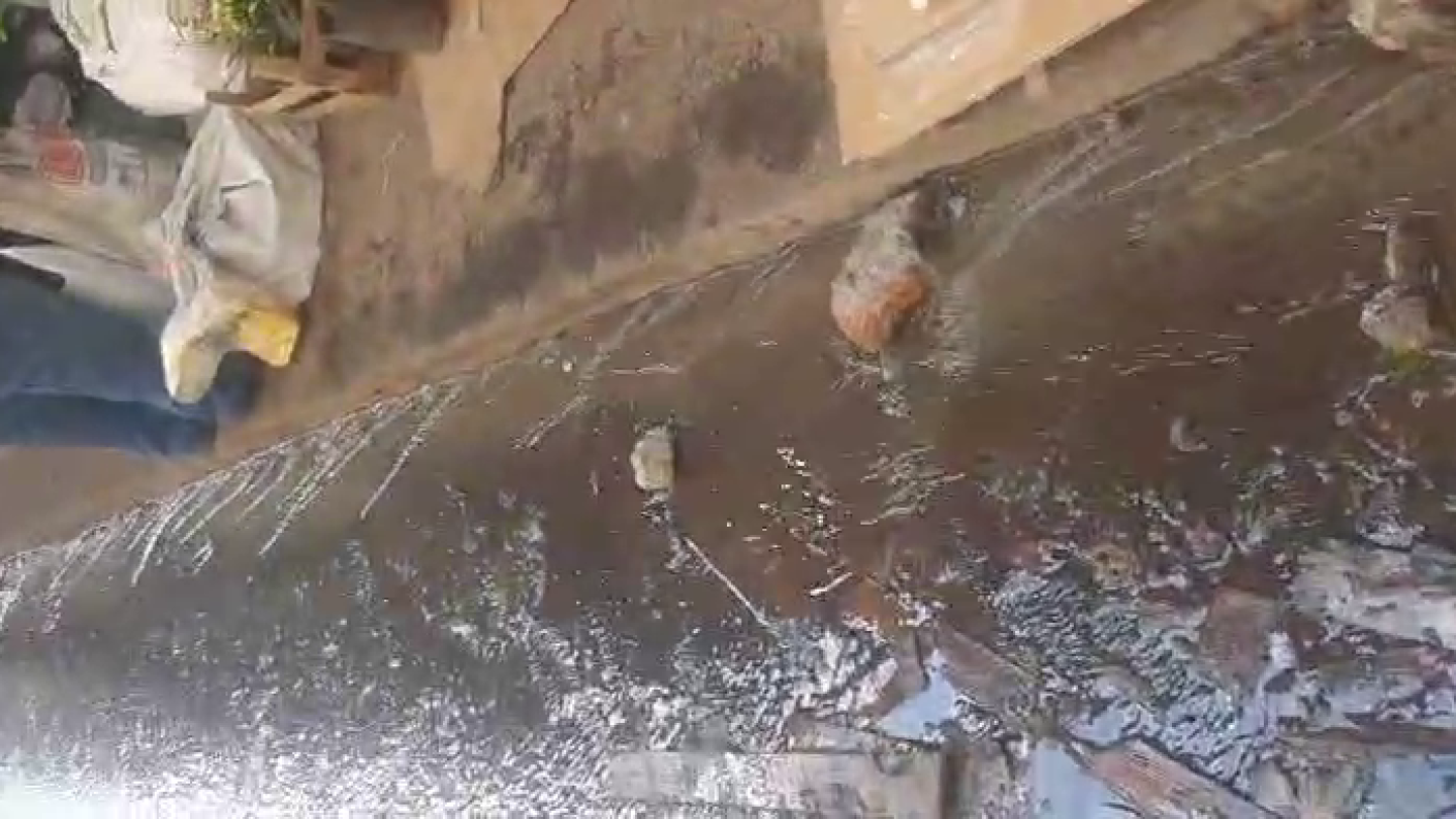 Municipalidad de Ciudad del Este interviene ante situación de desborde cloacal en el microcentro