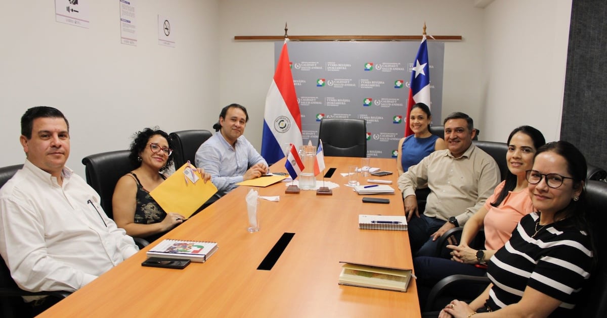 Auditoría del SAG de Chile concluyó con evaluación favorable en establecimientos cárnicos paraguayos