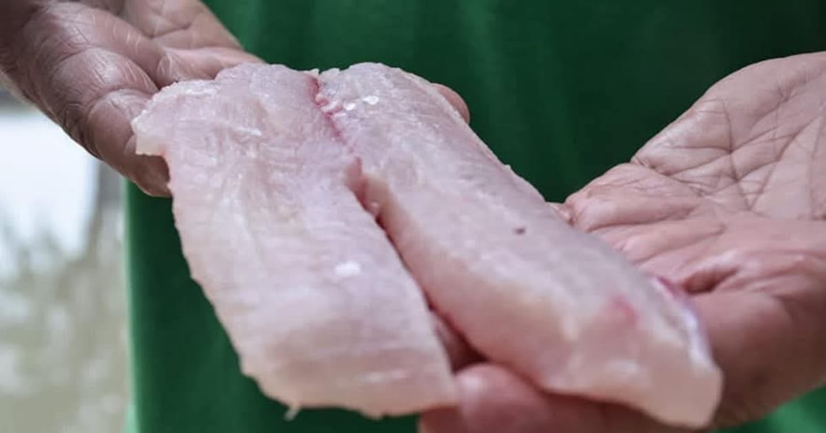 Impulsan estrategias para potenciar la piscicultura y aumentar el consumo de pescado en Paraguay