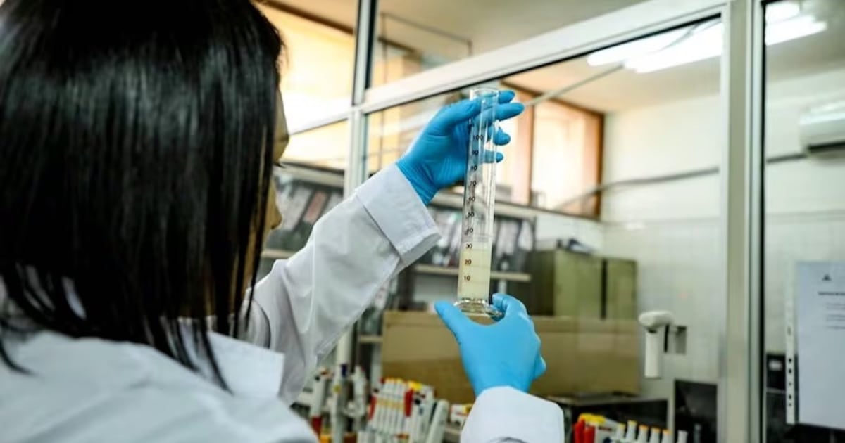 Senacsa activa alerta máxima ante detección de influenza aviar en Uruguay