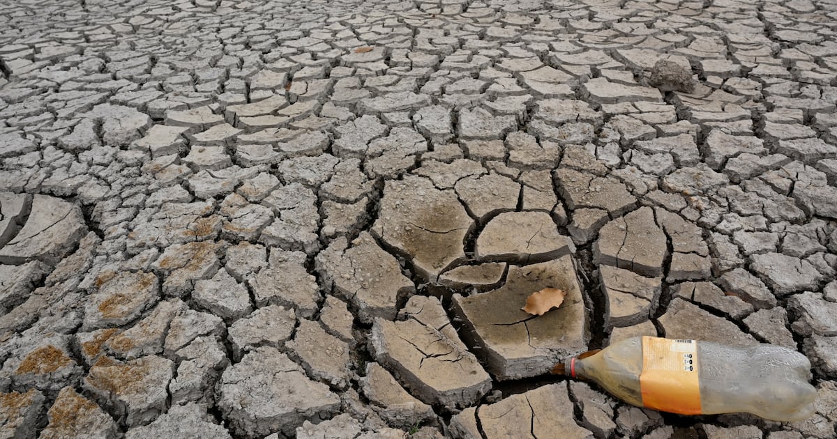 El Niño representa una amenaza para la seguridad alimentaria de millones en Latinoamérica