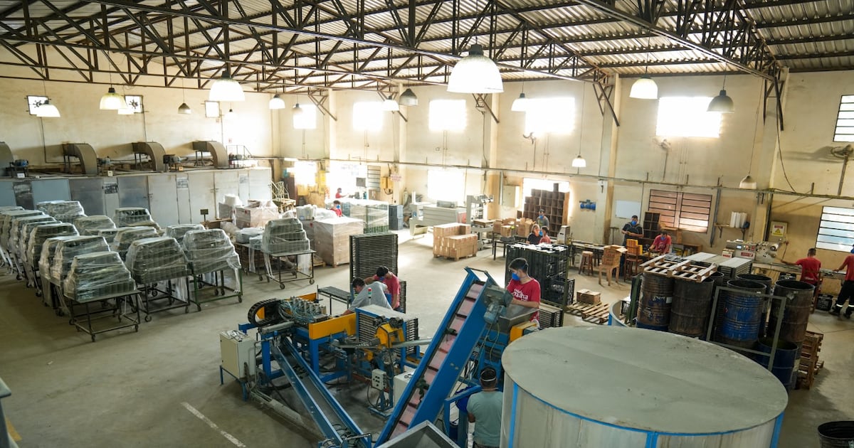 Maahsa inicia exportaciones a México y amplía su presencia regional