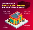 Ratas y ratones en negocios gastronómicos: cómo detectar una infestación y aplicar protocolos de control que sí funcionan