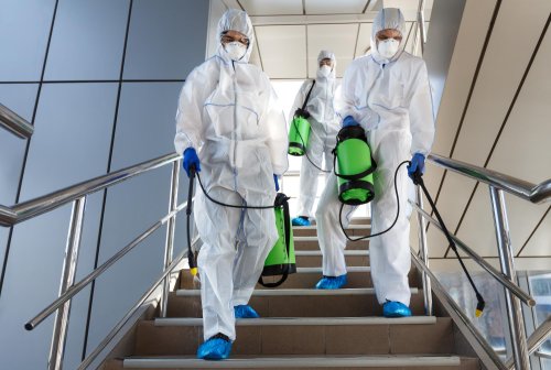 Exigencias Sanitarias Rigurosas en Paraguay: Control de Plagas en Hospitales para Salvaguardar la Salud Pública
