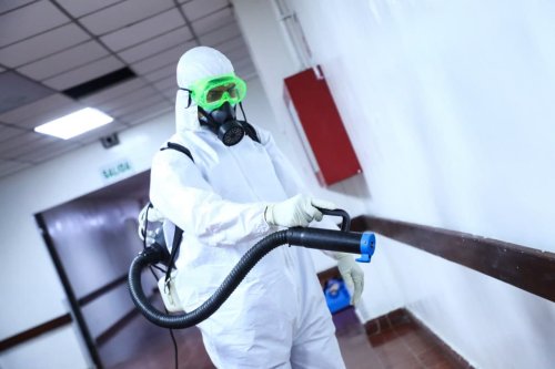 Control de plagas en hospitales rurales: cómo proteger la salud con pocos recursos y mucho método