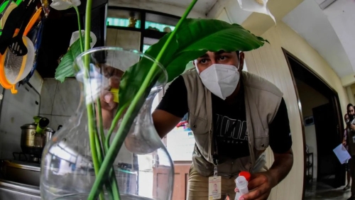 Alerta por el regreso del dengue serotipo 3: expertos advierten sobre riesgo de epidemia en la próxima temporada