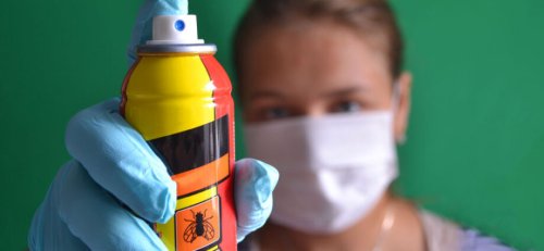 Precauciones esenciales para el uso seguro de insecticidas en aerosol dentro del hogar