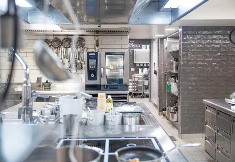 Cucarachas en restaurantes: el costo oculto para la salud pública y la reputación del negocio