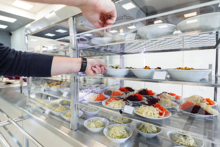 Moscas en la cocina: el peligro invisible que compromete alimentos preparados