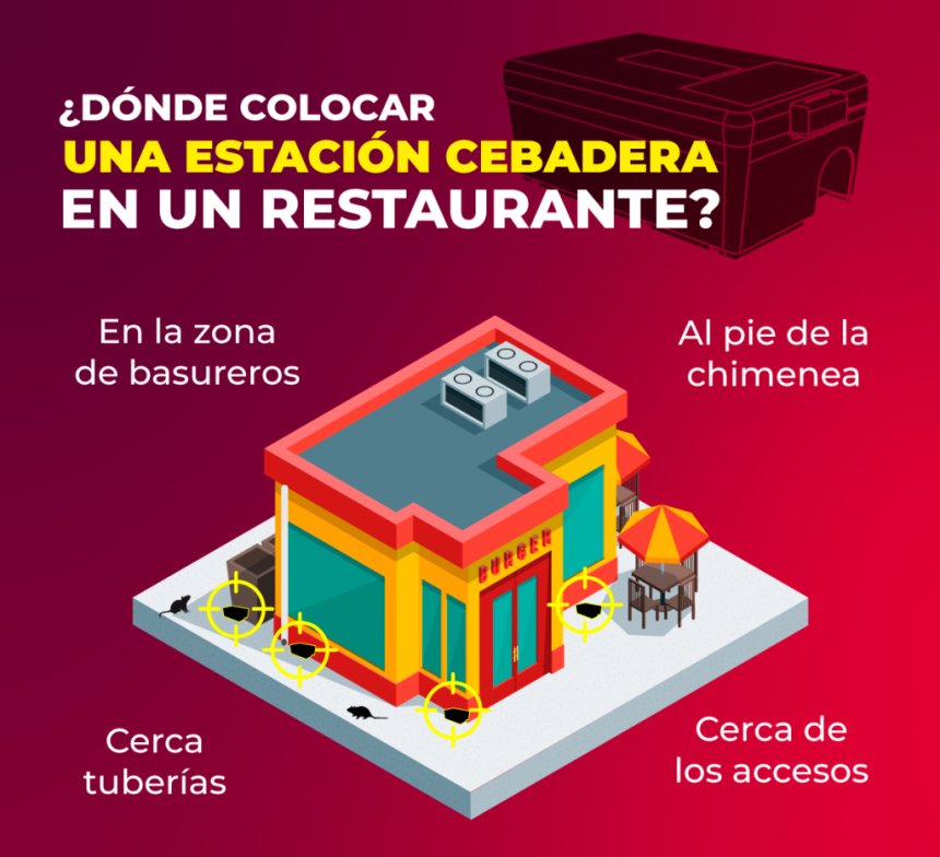 Ratas y ratones en negocios gastronómicos: cómo detectar una infestación y aplicar protocolos de control que sí funcionan