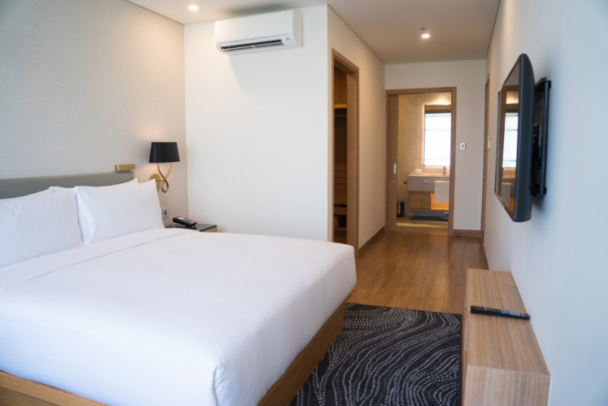 Las pulgas en hoteles pet friendly: riesgos reales y protocolos de control que funcionan