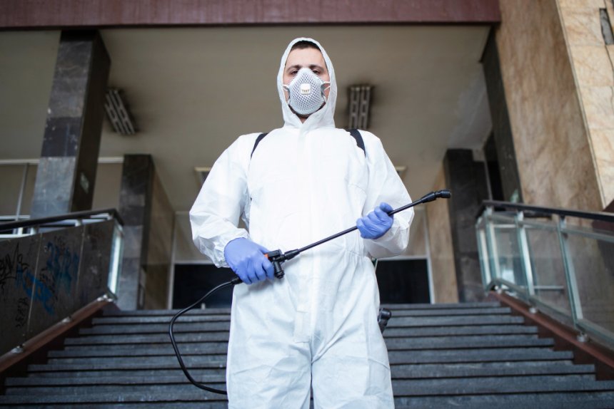Certificado de Fumigación para Locales Comerciales en Paraguay: Requisitos, Obligatoriedad y Claves para Cumplir con la Normativa Sanitaria
