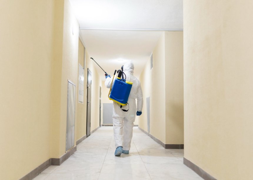 El control de plagas en hospitales y clínicas: una prioridad vital para la salud pública