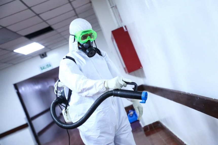 Control de plagas en hospitales rurales: cómo proteger la salud con pocos recursos y mucho método