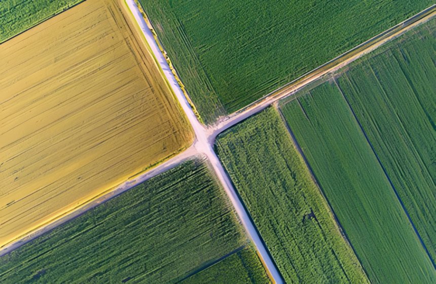 Rotar para ganar: cómo la diversificación de cultivos corta el ciclo de plagas y fortalece tu campo